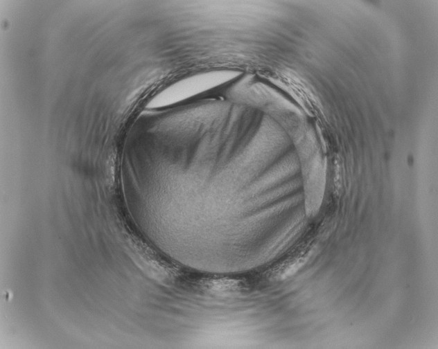 X0000088600501200706151805