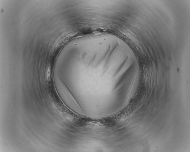 X0000088600502200706151805