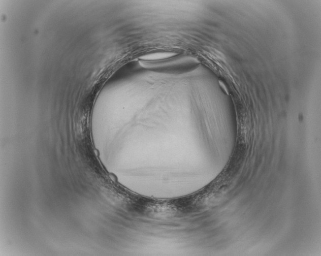 X0000088600503200706151805