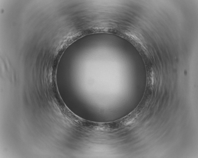 X0000088600504200706151805