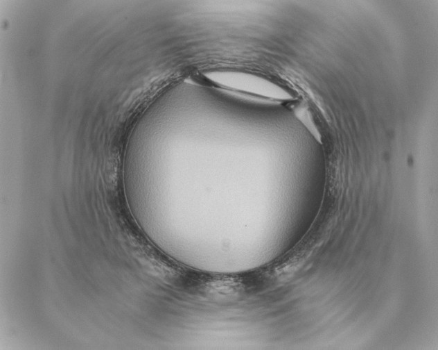 X0000088600505200706151805