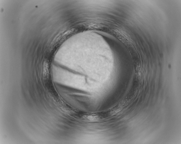 X0000088600506200706151805