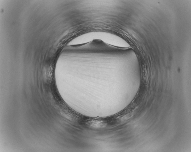 X0000088600507200706151805