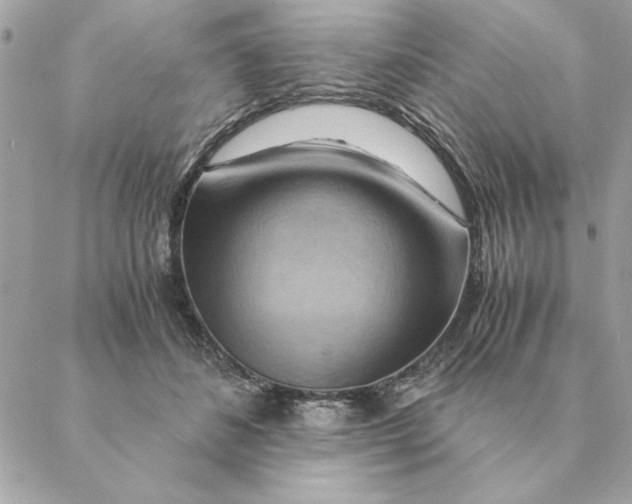 X0000088600508200706151805