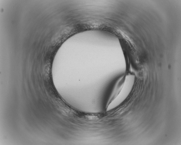 X0000088600509200706151805