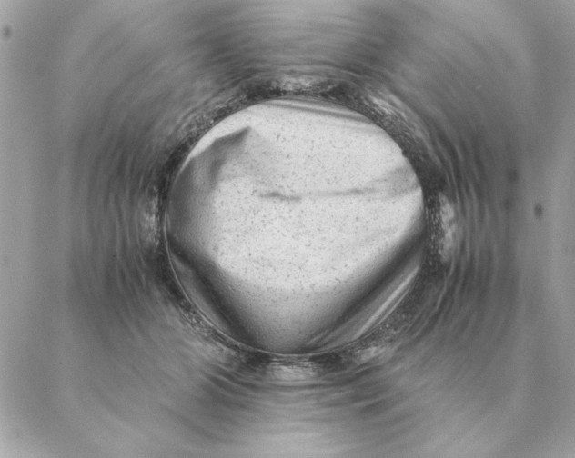 X0000088600510200706151805