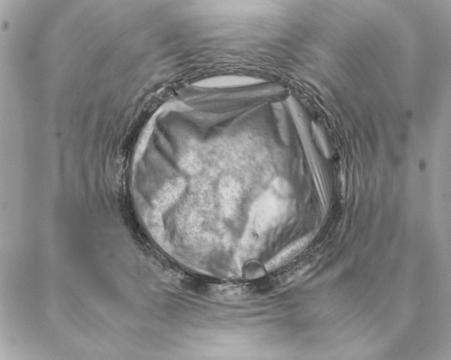 X0000088600511200706151805