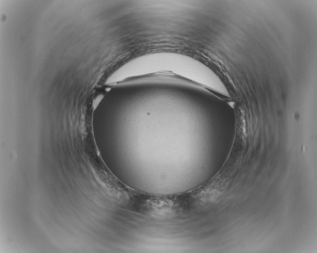 X0000088600512200706151805