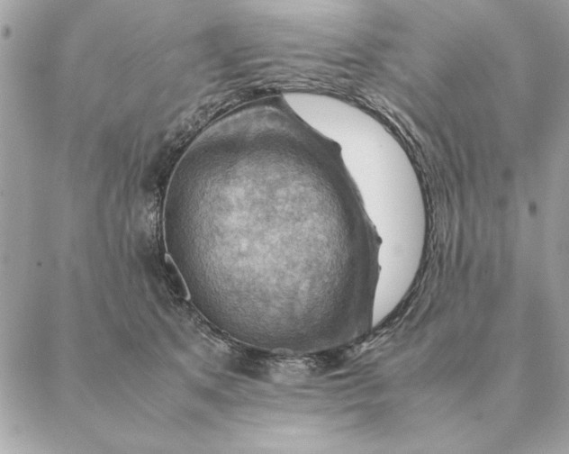 X0000088600513200706151804