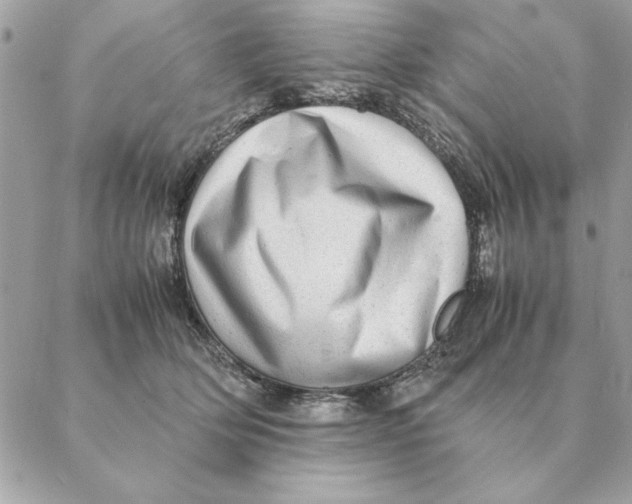 X0000088600514200706151804