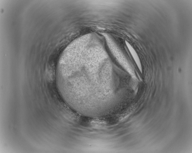 X0000088600515200706151804