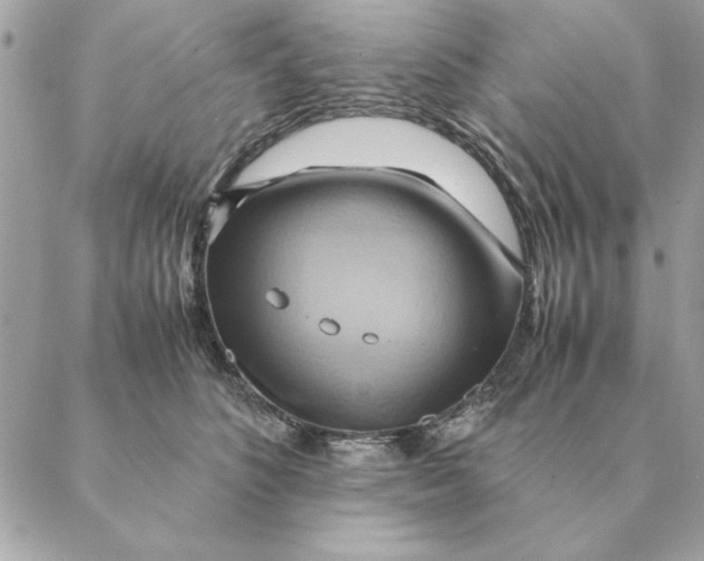 X0000088600516200706151804