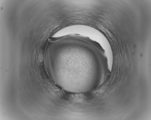 X0000088600517200706151804