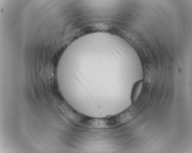 X0000088600518200706151804