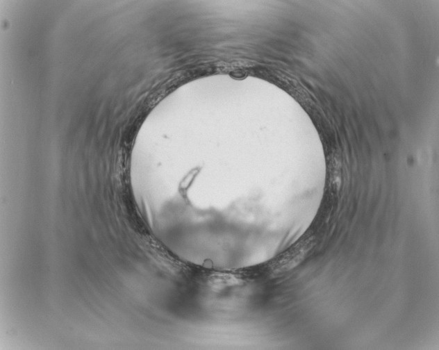 X0000088600519200706151804