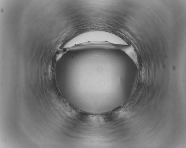 X0000088600520200706151804