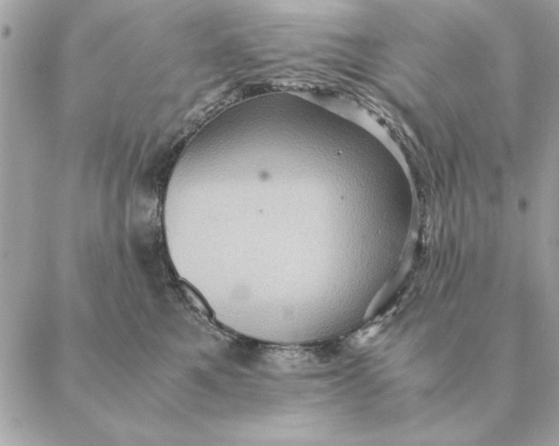 X0000088600521200706151804