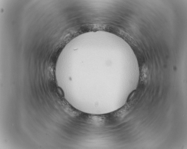 X0000088600522200706151804