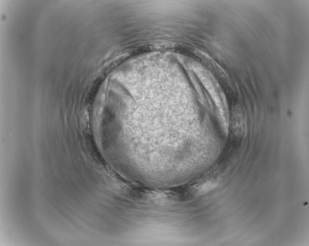 X0000088600523200706151804