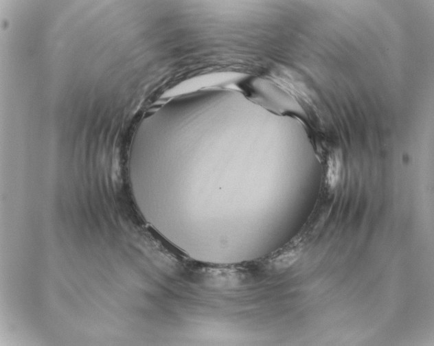 X0000088600524200706151804