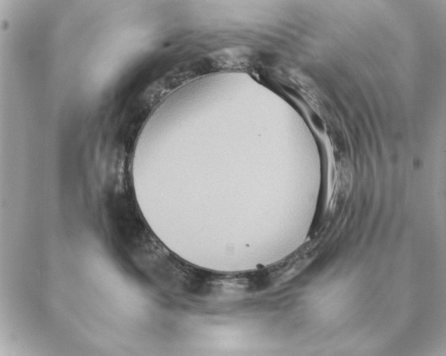 X0000088600525200706151804