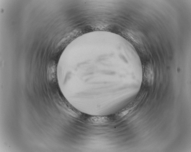 X0000088600526200706151804