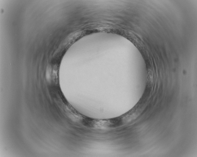 X0000088600527200706151804