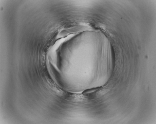 X0000088600528200706151804