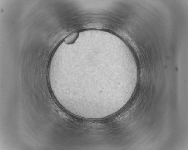 X0000088600529200706151803