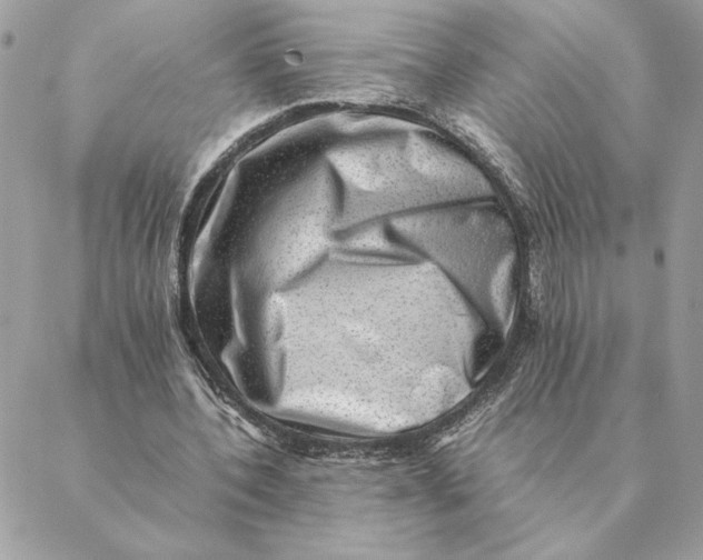 X0000088600532200706151804