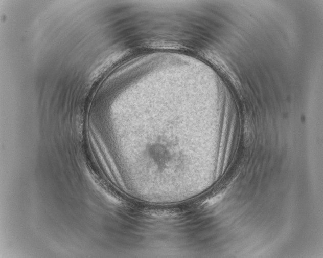 X0000088600533200706151804