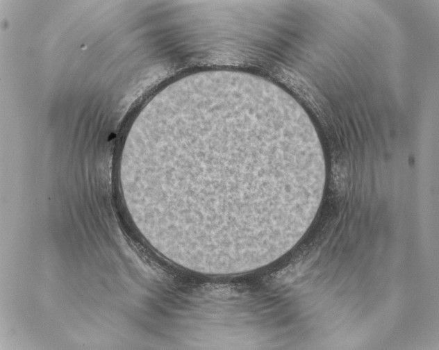 X0000088600534200706151804