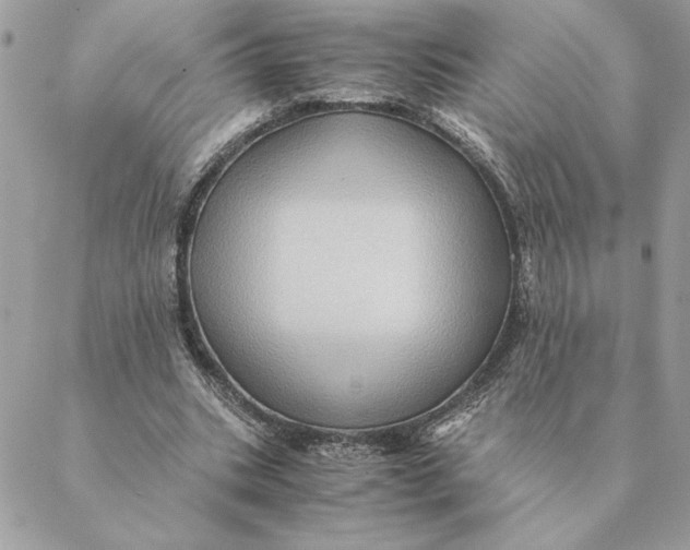 X0000088600535200706151804