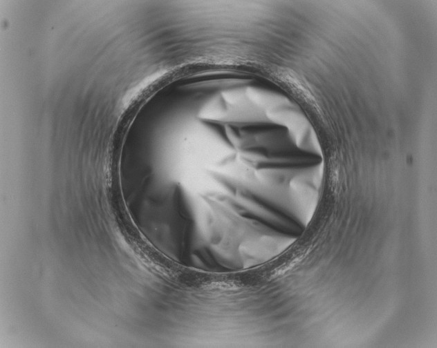 X0000088600536200706151804