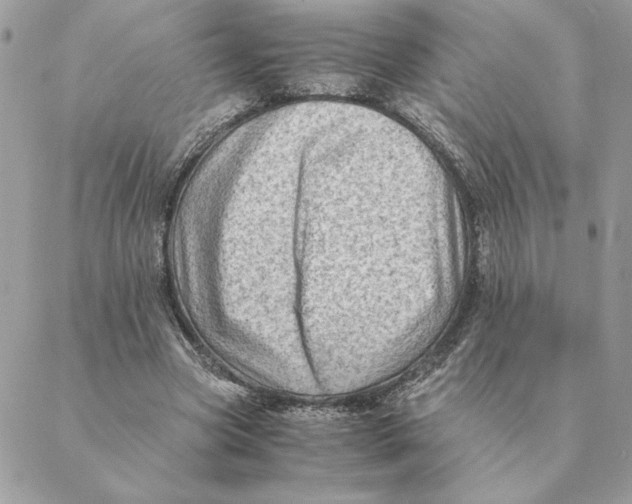 X0000088600537200706151804