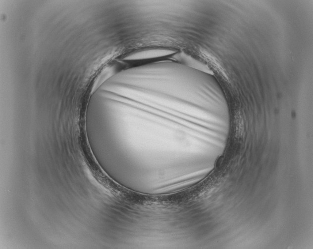 X0000088600538200706151804