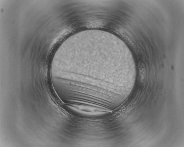 X0000088600539200706151804