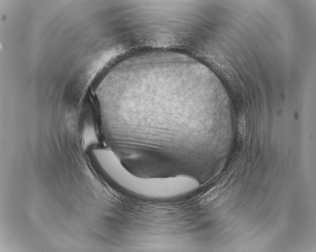 X0000088600540200706151804