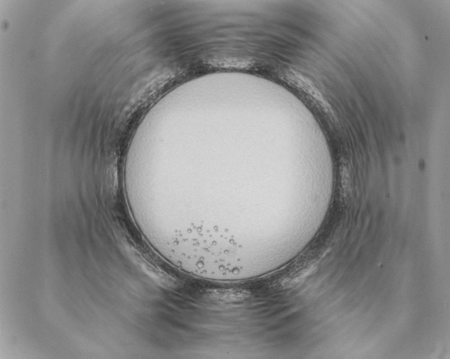 X0000088600541200706151804