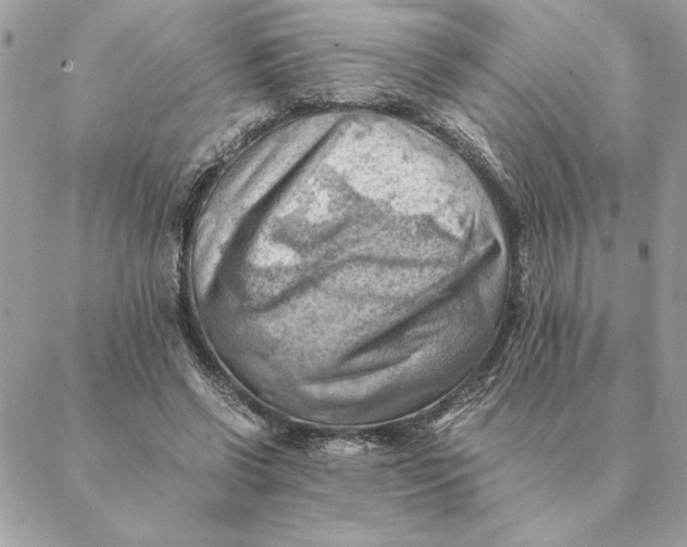 X0000088600542200706151804