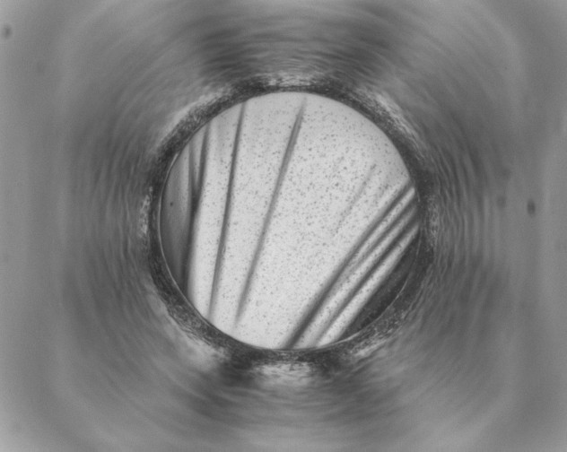 X0000088600543200706151804