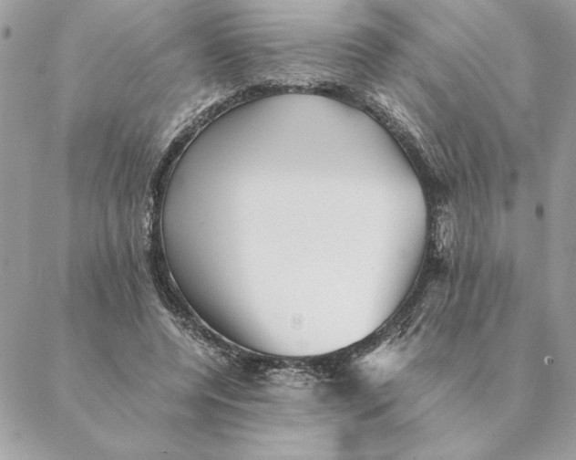 X0000088600544200706151804