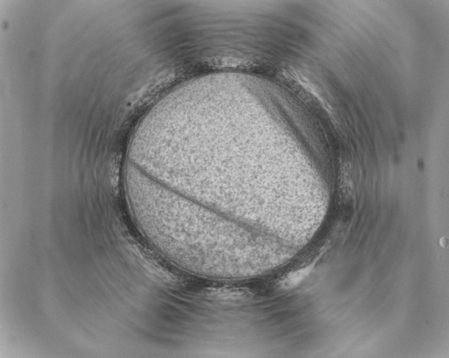 X0000088600545200706151804