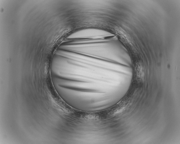 X0000088600546200706151804