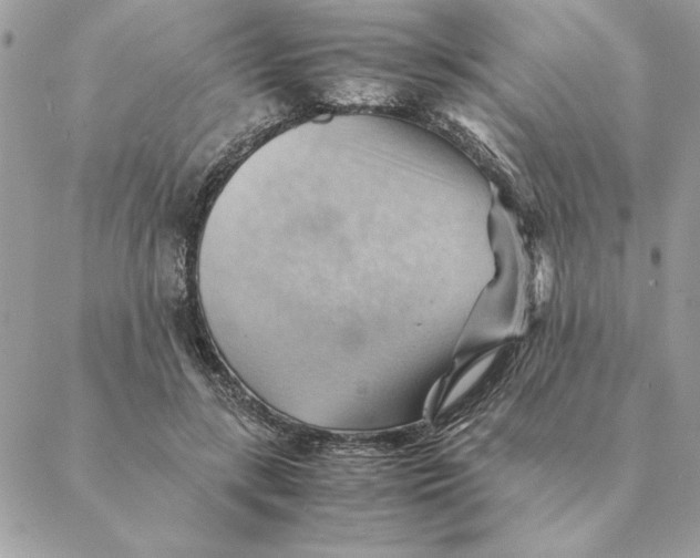 X0000088600547200706151804