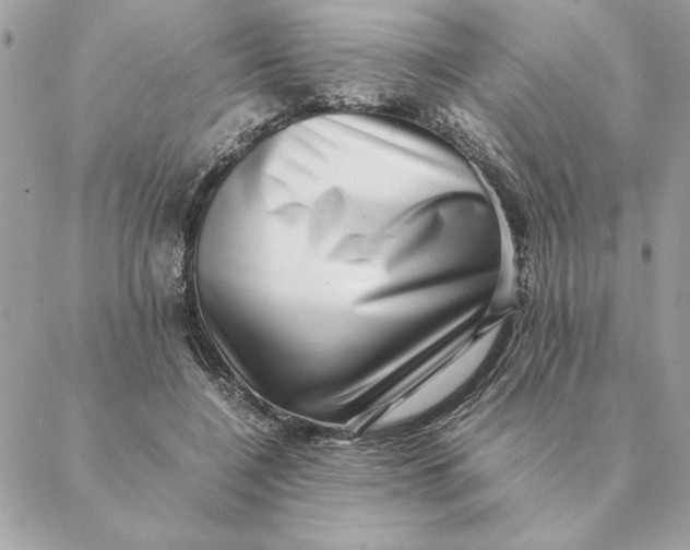 X0000088600548200706151804