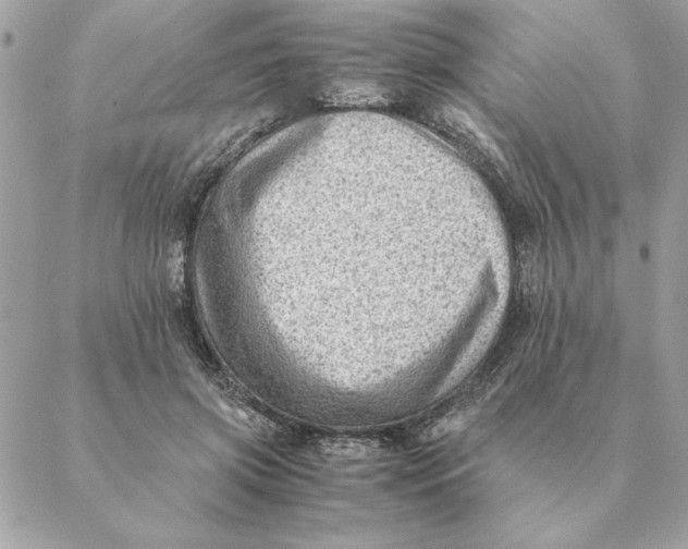 X0000088600549200706151804