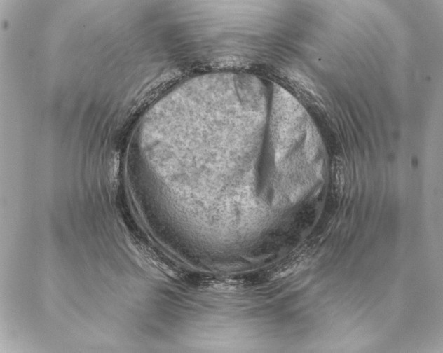 X0000088600550200706151804