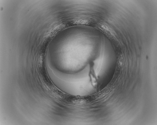 X0000088600551200706151804