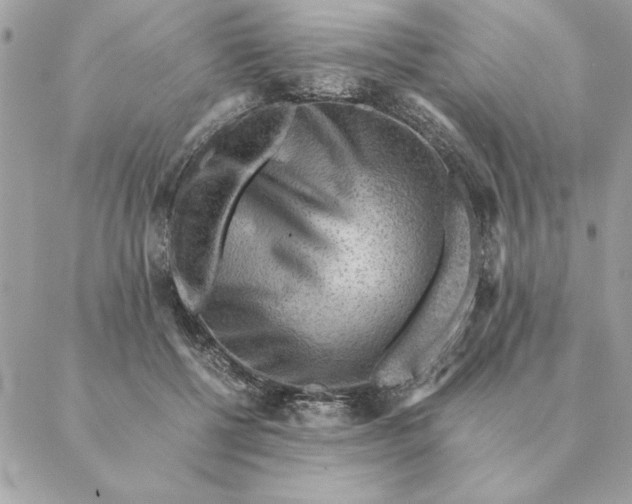 X0000088600552200706151804